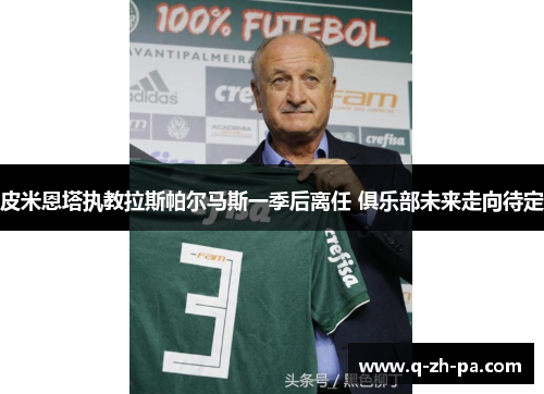 皮米恩塔执教拉斯帕尔马斯一季后离任 俱乐部未来走向待定 皮米恩塔执教拉斯帕尔马斯一季后离任 俱乐部未来走向待定