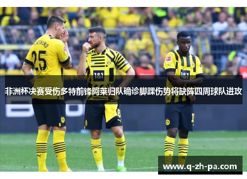 非洲杯决赛受伤多特前锋阿莱归队确诊脚踝伤势将缺阵四周球队进攻