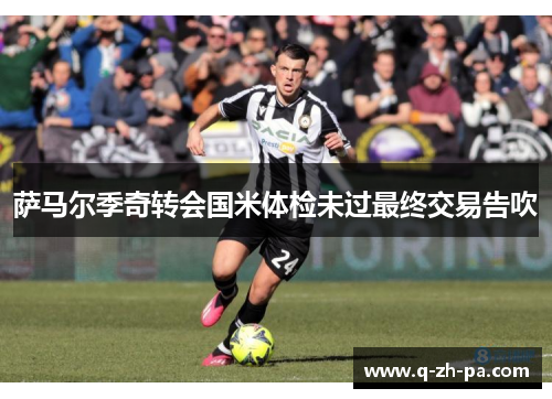 萨马尔季奇转会国米体检未过最终交易告吹 萨马尔季奇转会国米体检未过最终交易告吹