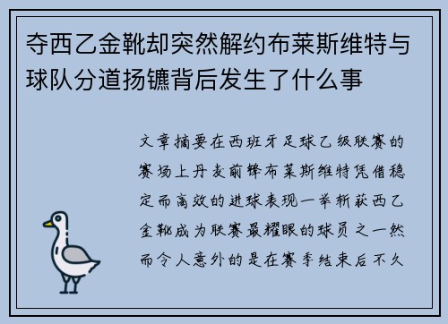 夺西乙金靴却突然解约布莱斯维特与球队分道扬镳背后发生了什么事